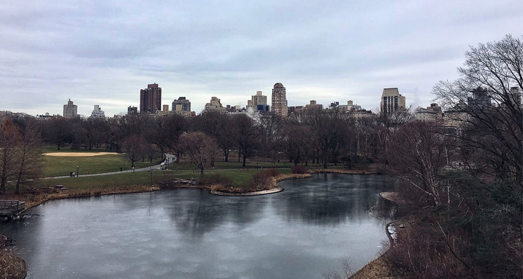 Central Park no inverno