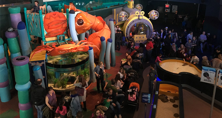 Ripley’s Aquarium