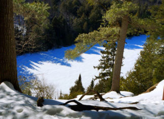Algonquin Park: Fazendo a trilha Hemlock Bluff