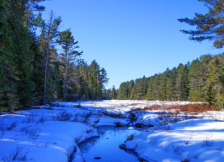 Algonquin Parque: Fazendo a trilha Mizzy Lake