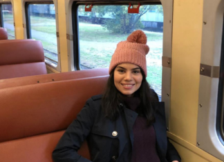 Passeio de trem pelas cores de outono